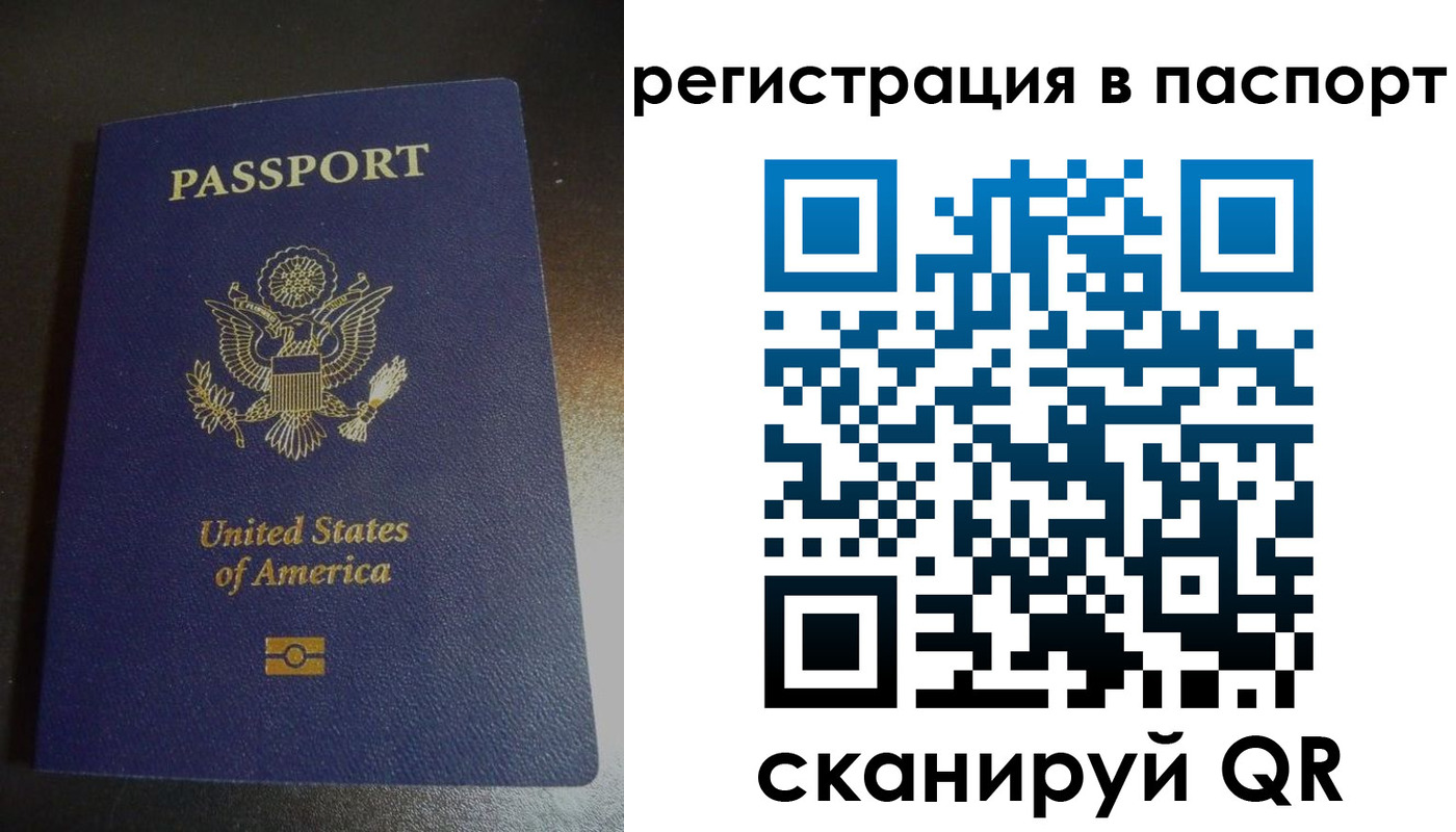 прописка для школы в Зарайске